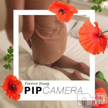 新潟デリヘル 五十路マダム新潟店(カサブランカグループ)(イソジマダムニイガタテン) 明智由奈(50)の7月2日写メブログ「慣れてきたかなぁ」