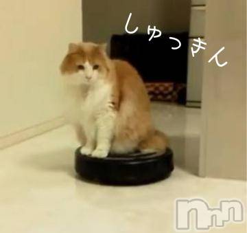 新潟デリヘル 五十路マダム新潟店(カサブランカグループ)(イソジマダムニイガタテン) 明智由奈(50)の10月11日写メブログ「あるある」