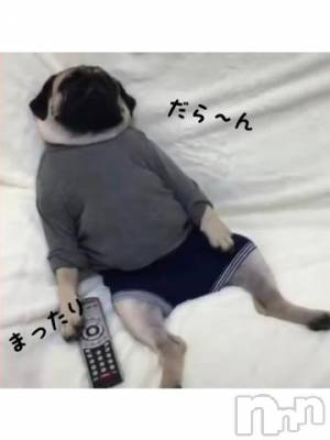 新潟デリヘル 五十路マダム新潟店(カサブランカグループ)(イソジマダムニイガタテン) 明智由奈(50)の2月25日写メブログ「ぼー…」