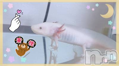 㽩ն襹ʥå륺СCafe&Bar Place(եɥСץ쥤) Τ98̥֥֤Ǥ