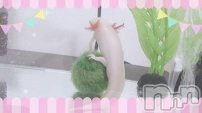 㽩ն襹ʥå륺СCafe&Bar Place(եɥСץ쥤) Τ1020̥֥֤Ѥ󡪡