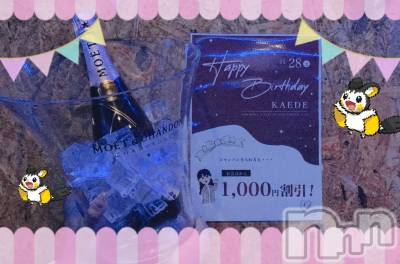 㽩ն襹ʥå륺СCafe&Bar Place(եɥСץ쥤) Τ1128̥֥֤ǤСǤ