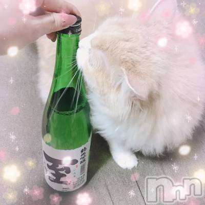 㽩ն襹ʥå륺СCafe&Bar Place(եɥСץ쥤) Τ410̥֥̣ܼ🍶✨