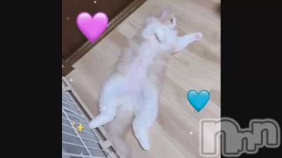 ȤˤĤ🌞