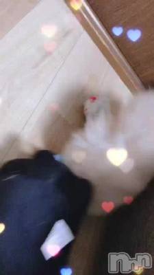 ⸵ˤ❗️