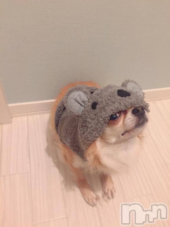 新潟ソープ新潟バニーコレクション(ニイガタバニーコレクション)アイミ(23)の2025年12月27日写メブログ「後半戦突入！」