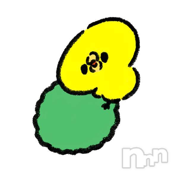 新潟ソープ新潟バニーコレクション(ニイガタバニーコレクション)アイミ(23)の2026年3月1日写メブログ「[お題]from:ジンギスカン未経験さん」