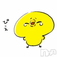 新潟ソープ新潟バニーコレクション(ニイガタバニーコレクション) アイミ(23)の1月23日写メブログ「大丈夫でしょうか？」