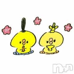 新潟ソープ新潟バニーコレクション(ニイガタバニーコレクション) アイミ(23)の3月3日写メブログ「[お題]from:プー太郎さん」