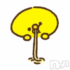 新潟ソープ新潟バニーコレクション(ニイガタバニーコレクション) アイミ(23)の5月6日写メブログ「[お題]from:マックドカ食いさん」