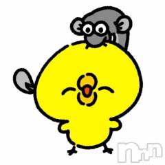 新潟ソープ新潟バニーコレクション(ニイガタバニーコレクション) アイミ(23)の5月19日写メブログ「[お題]from:レッドキャッスルさん」