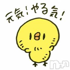 新潟ソープ新潟バニーコレクション(ニイガタバニーコレクション) アイミ(23)の9月24日写メブログ「新人キラーのお兄さまへ朗報です」