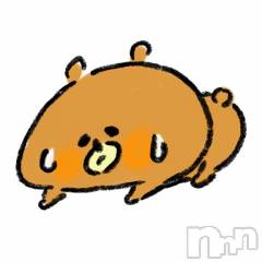 新潟ソープ新潟バニーコレクション(ニイガタバニーコレクション) アイミ(23)の11月17日写メブログ「本日18:50～のお兄さま」