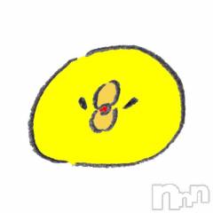 新潟ソープ新潟バニーコレクション(ニイガタバニーコレクション) アイミ(23)の12月9日写メブログ「[お題]from:ねずみさん」