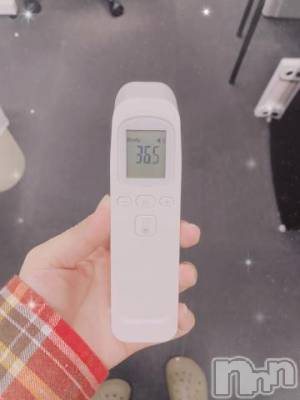 新潟ソープ 新潟バニーコレクション(ニイガタバニーコレクション) アイミ(23)の10月29日写メブログ「[今日の私の体温]：フォトギャラリー」