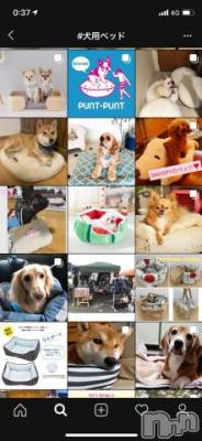 新潟ソープ 新潟バニーコレクション(ニイガタバニーコレクション) アイミ(23)の11月1日写メブログ「[お題]from:さくまっくまさん」