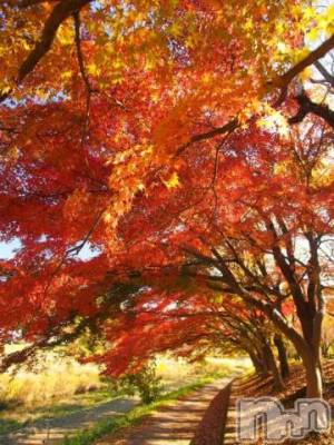 新潟ソープ 新潟バニーコレクション(ニイガタバニーコレクション) アイミ(23)の9月1日写メブログ「[お題]from:白ブリーフの露出狂さん」