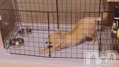 負けじと🫢💗