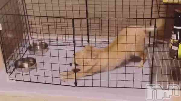 アイミの動画 負けじと🫢💗