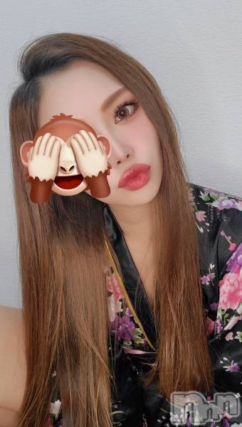 ȯѥ˥󥯥ֿ㥳ѥ˥󥯥ֲ(˥ѥ˥󥯥֥ϥʥ)  2023ǯ1215̥֥˺ǯϲǢڸ̵ۡ