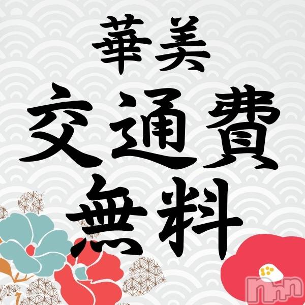 ȯѥ˥󥯥ֿ㥳ѥ˥󥯥ֲ(˥ѥ˥󥯥֥ϥʥ)  2024ǯ711̥֥֡ڸ̵ۥ٥ȳ