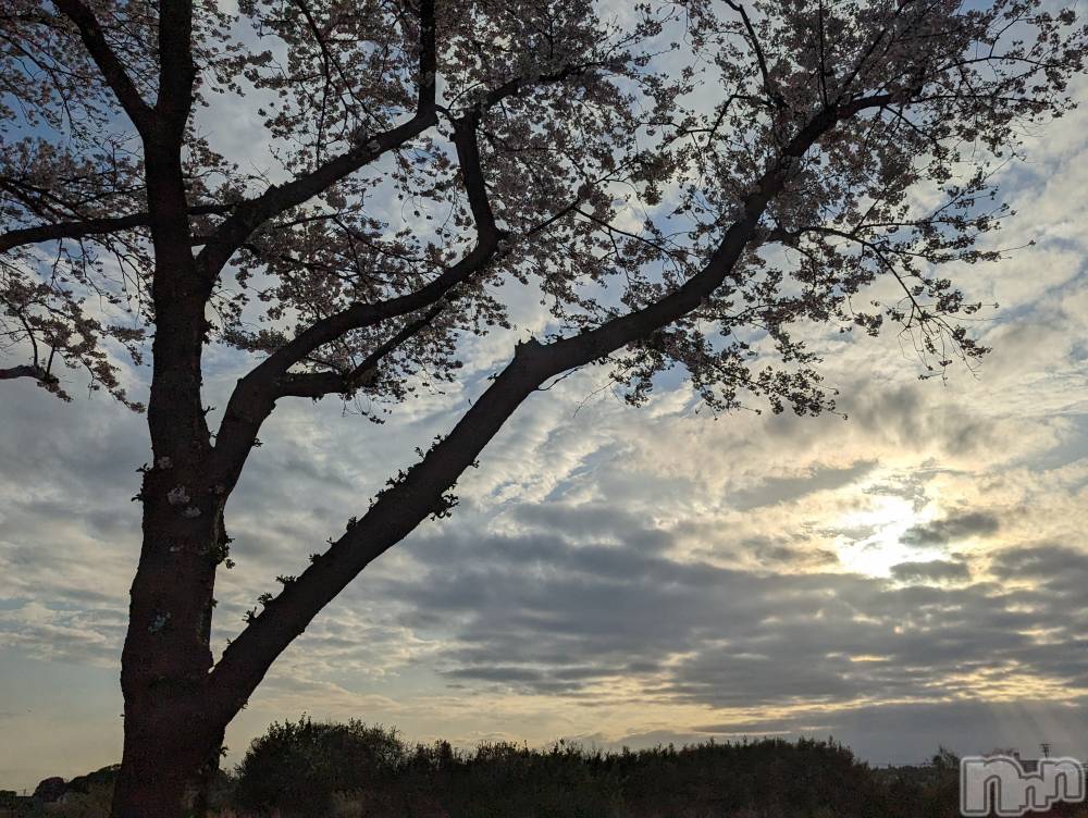 松本発デリヘルELYSION （エリシオン）(エリシオン) 紫音 shion(27)の3月28日写メブログ「紫音です」