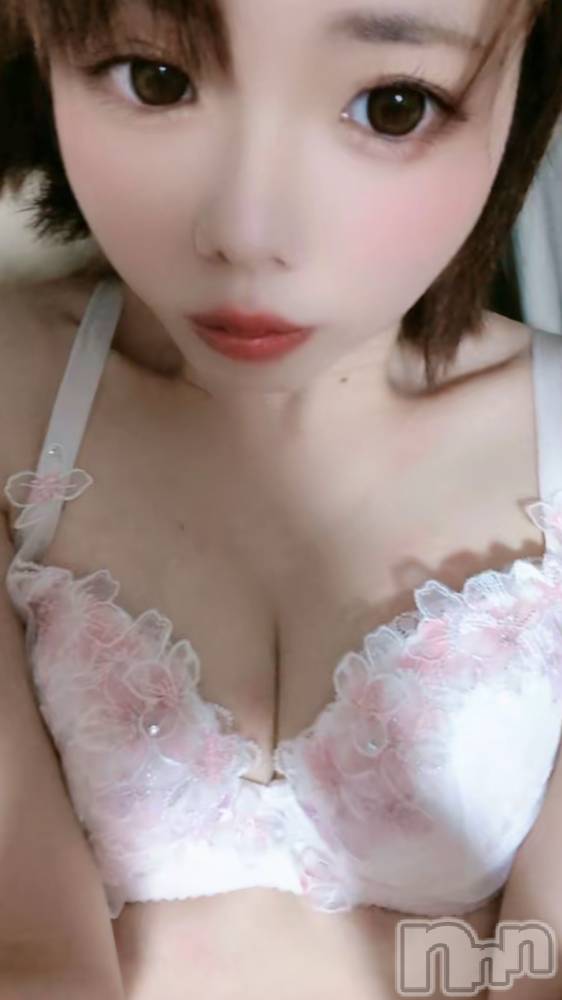 松本発デリヘルELYSION （エリシオン）(エリシオン) 紫音 shion(27)の12月26日写メブログ「紫音です」