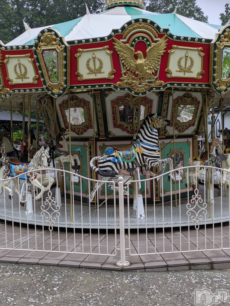 松本発デリヘルELYSION （エリシオン）(エリシオン) 紫音 shion(27)の12月29日写メブログ「12月29日 22時45分のブログ」