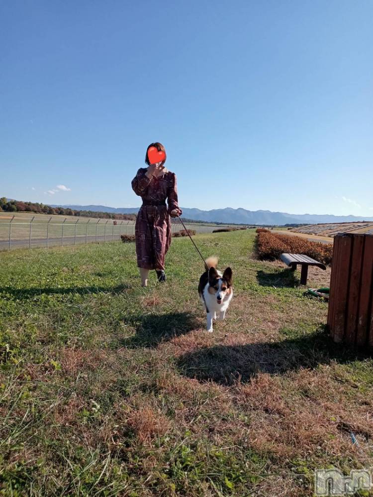 松本発デリヘルELYSION （エリシオン）(エリシオン) 紫音 shion(27)の10月31日写メブログ「散歩日和」