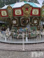 12月29日 22時45分のブログ