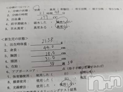 紫音です