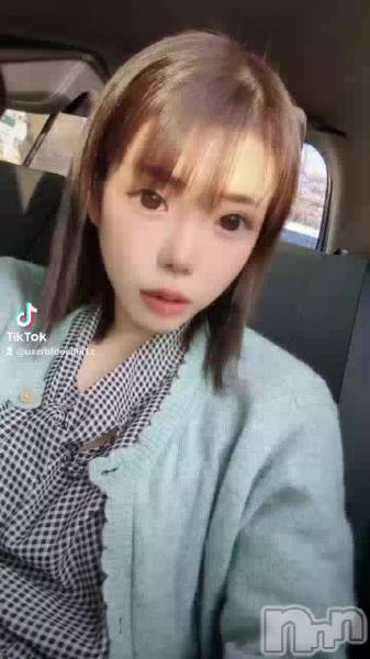紫音です