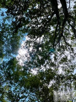 松本発デリヘル ぽっちゃりお姉さん専門　ポチャ女子(ポッチャリオネエサンセンモンポチャジョシ) はなお姉さん(33)の7月24日写メブログ「どじ」