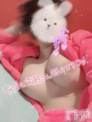 新潟ソープ 新潟バニーコレクション(ニイガタバニーコレクション) ウラ(24)の5月21日写メブログ「また来週末に🐰」