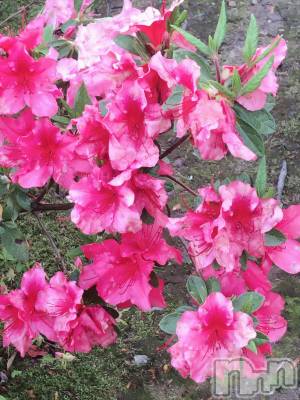 上越デリヘル 上越風俗出張アロママッサージ(ジョウエツフウゾクシュッチョウアロママッサージ) 新人☆あず(23)の5月28日写メブログ「一週間ぶりの出勤！」