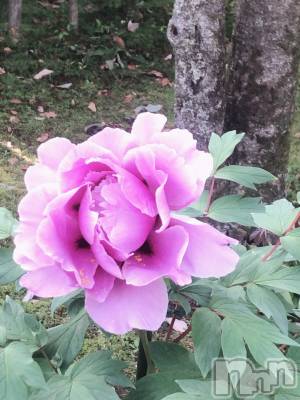 上越デリヘル 上越風俗出張アロママッサージ(ジョウエツフウゾクシュッチョウアロママッサージ) 新人☆あず(23)の5月30日写メブログ「今日は…」