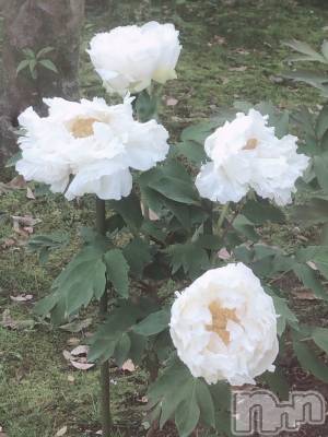 上越デリヘル 上越風俗出張アロママッサージ(ジョウエツフウゾクシュッチョウアロママッサージ) 新人☆あず(23)の6月24日写メブログ「出勤してます❤️」