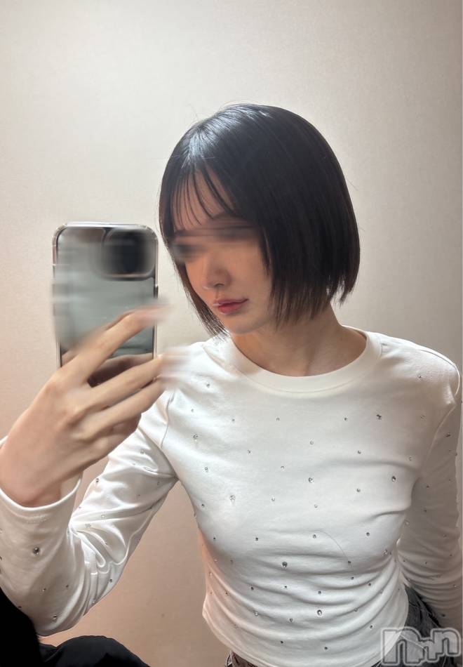 新潟デリヘル(エース)の2026年2月24日お店速報「新人ちゃんからレジェンドまで無敵のキャストが揃ってます！！！」