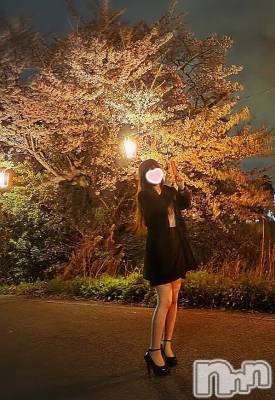 新潟デリヘル(エース)の2026年4月8日お店速報「エース女子たちは、間違いないって知ってますか？？」