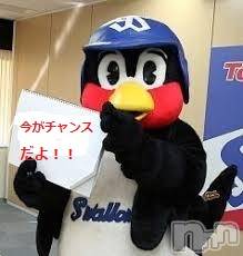 新潟デリヘル(エース)の2021年5月25日お店速報「バージンショック炸裂間違いなし！！！！」