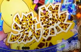 新潟デリヘル(エース)の2023年6月13日お店速報「チャチャチャチャチャチャチャァ~~ンス！！！！！！」