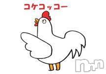 新潟デリヘル(エース)の2024年11月29日お店速報「週末は早朝営業ありです！！朝からコイテ！！コイテ！コケコッコォ～～！！！」