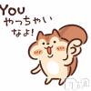 A やっちゃいな！やりたくなったらやっちゃいな！！