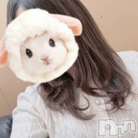 新潟デリヘル A(エース)の3月12日お店速報「新人さん2名出勤＆激アツ美女揃いオキニ必須各種割引ございます」