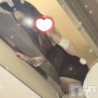 新潟デリヘル A(エース)の4月17日お店速報「激アツ美女揃い各種割引イベント開催中ですご予約はお早めに」