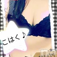 新潟デリヘル A(エース)の3月28日お店速報「本日新人さん出勤中『ナイトナビ見たで』ご新規様2000円OFF」