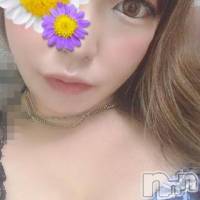 新潟デリヘル A(エース)の10月23日お店速報「誰もが目を引く可愛いルックスの新人お姉さん『しおんちゃん』本日出勤」