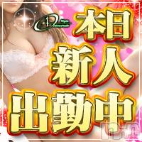 新潟デリヘル A(エース)の1月2日お店速報「激レア出勤ありさちゃん(TG)出勤中です」