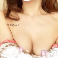 新潟デリヘル A(エース)の1月14日お店速報「高身長＆美脚イイ女系美女『はるかちゃん』本日出勤です」