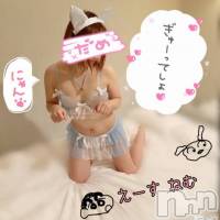 新潟デリヘル A(エース)の11月26日お店速報「小さなお顔に大きな目真っ白でスベスベなお肌新人ねむちゃん出勤です」